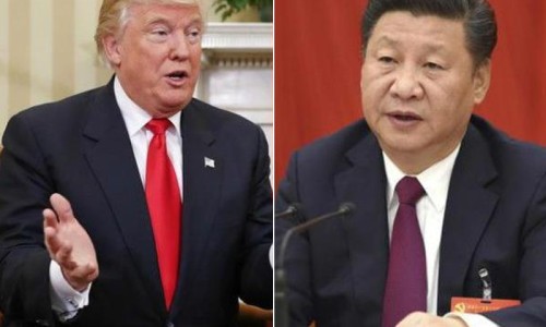 罗哌卡因齐鲁制药图片-罗哌卡因多少钱一支、罗哌卡因用法 -罗哌卡因齐鲁说明书网