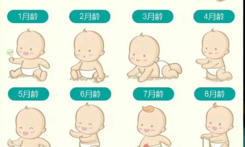 罗哌卡因齐鲁制药图片-罗哌卡因多少钱一支、罗哌卡因用法 -罗哌卡因齐鲁说明书网